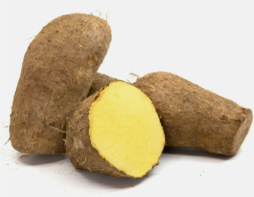 Yellow Yam