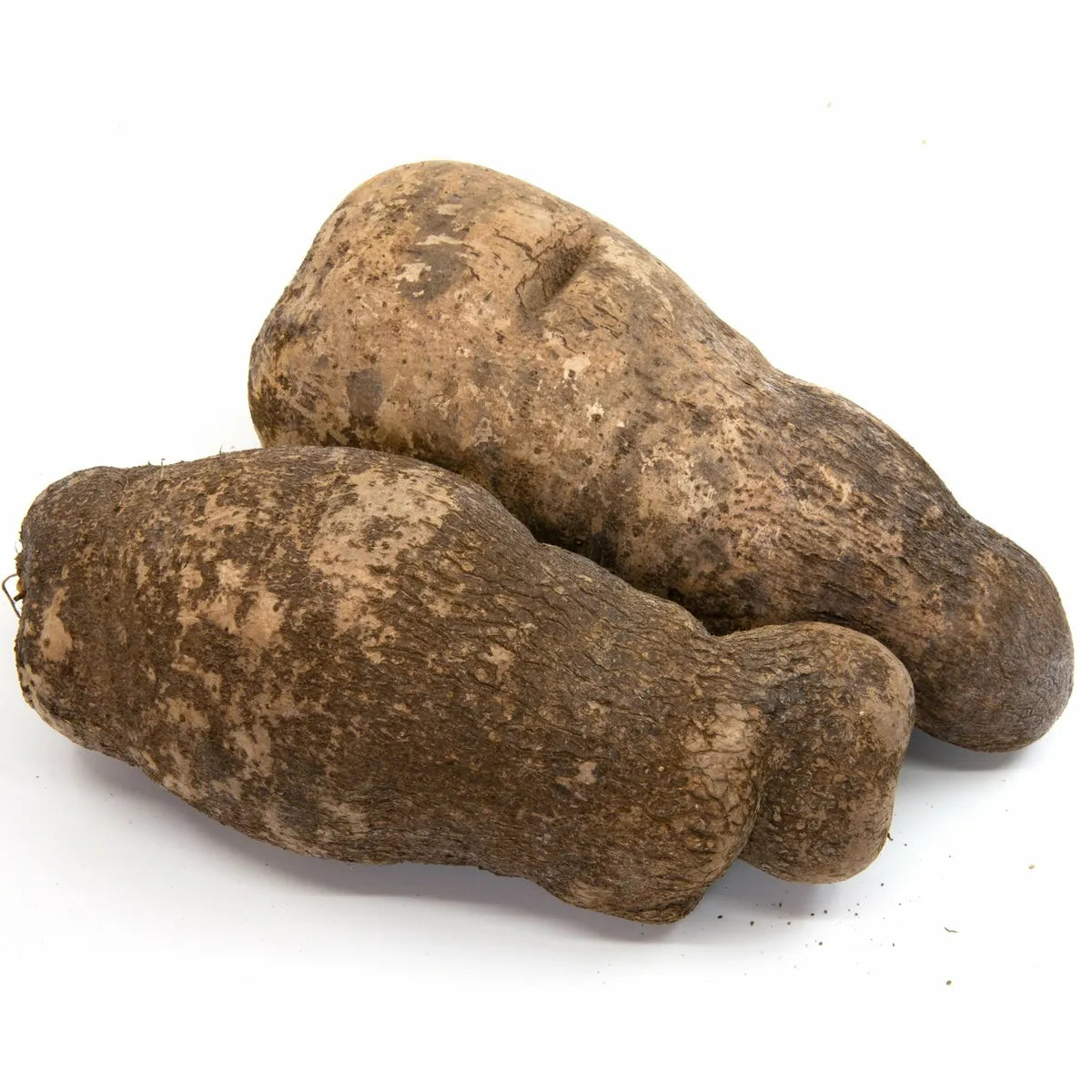 White Yam